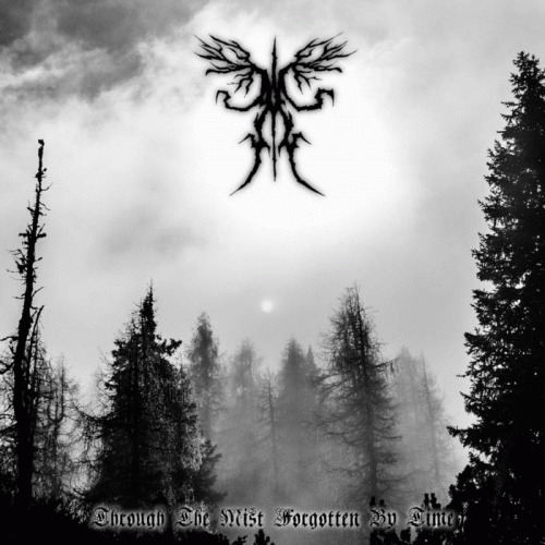 Ancient Boreal Forest : Through the Mist Forgotten by Time